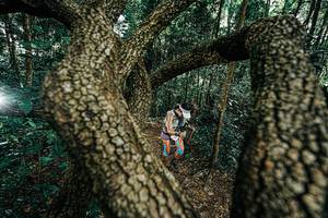 BIB: 
                            <button type="button" onclick="openModal(25392600)" class="btn btn-primary btn-sm float-right btn-popup" data-toggle="modal" data-target=".modal-high-quality">
                        <i class="fas fa-shopping-cart"></i> Add to Cart
                    </button>
                                            <button type="button" onclick="isThisMe(25392600, true)" class="btn btn-success btn-sm float-right btn-popup btn-isme hidden" data-toggle="tooltip" data-placement="bottom" title="นี่คือรูปของคุณใช่ไหม คลิกที่นี่เพื่อเอาเข้าอัลบั้ม">
                        <i class="fas fa-plus"></i> Add to album
                    </button>
                    <button type="button" onclick="isThisMe(25392600, false)" class="btn btn-warning btn-sm float-right btn-popup btn-isnotme hidden">
                        <i class="fas fa-ban"></i> Remove from album
                    </button>